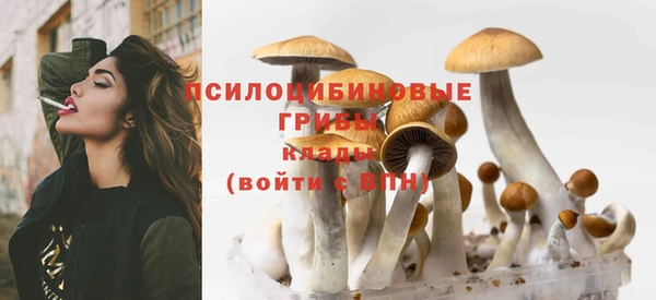 а пвп мука Балабаново