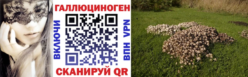 Галлюциногенные грибы Magic Shrooms  магазин продажи наркотиков  Заозёрный 